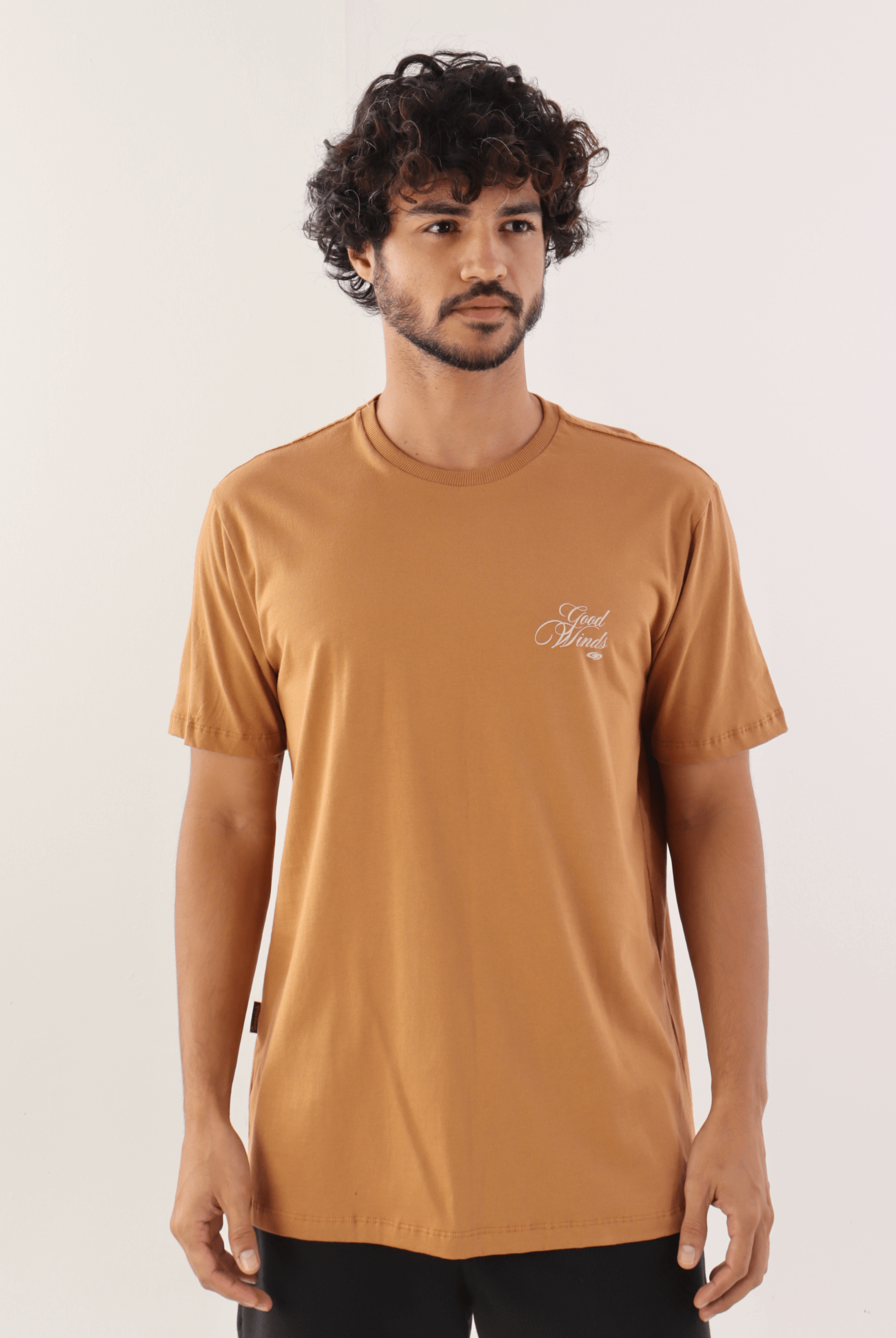 Camiseta marrom "Kites & Good Winds" da marca Greenish, em modelo masculino, perfeita para dias casuais e com estilo moderno.