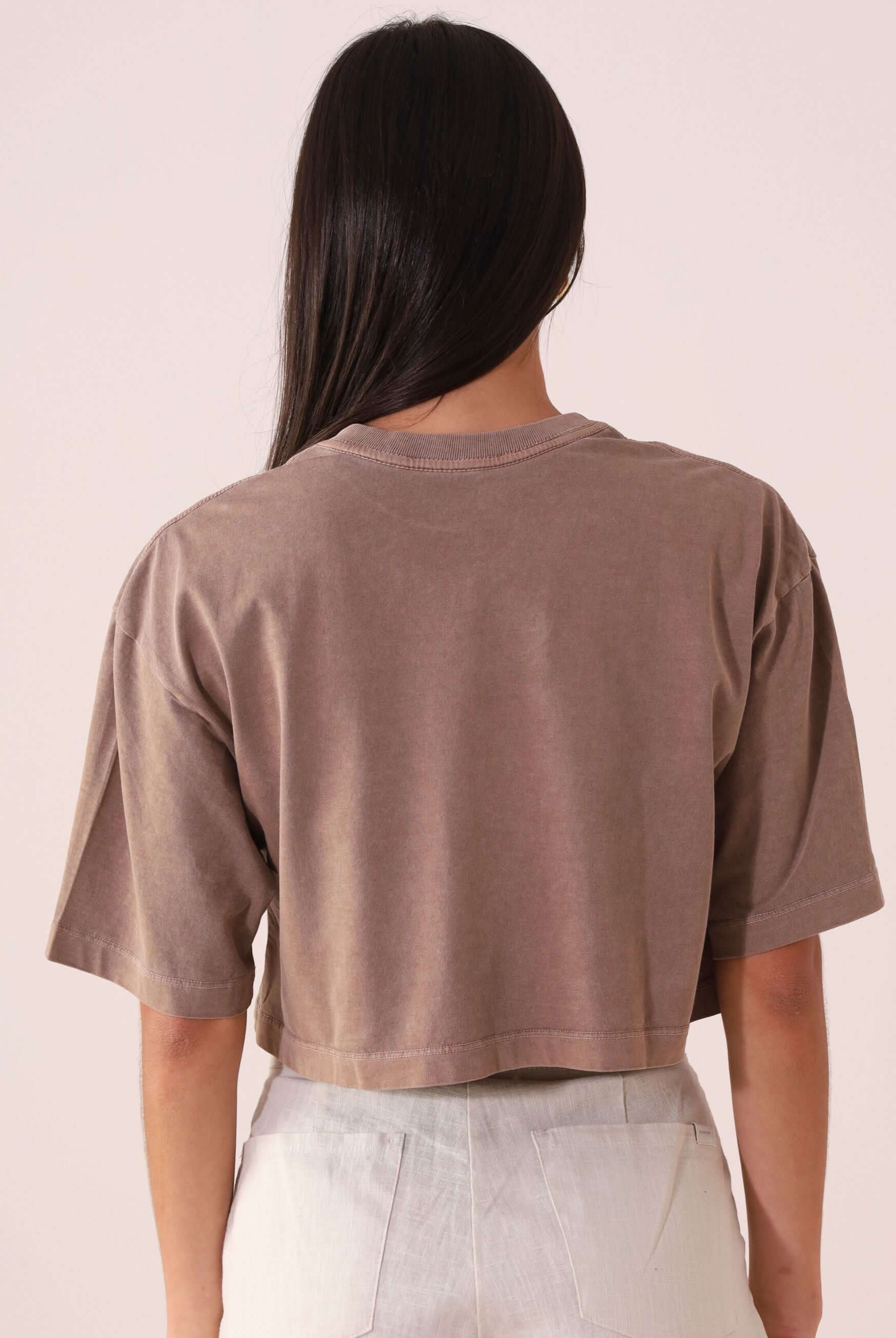 Camiseta Greenish CROPPED STONE RELAXING VIEW - MARRON, estilo oversized, algodão, visual vintage, toque macio, marca Greenish.