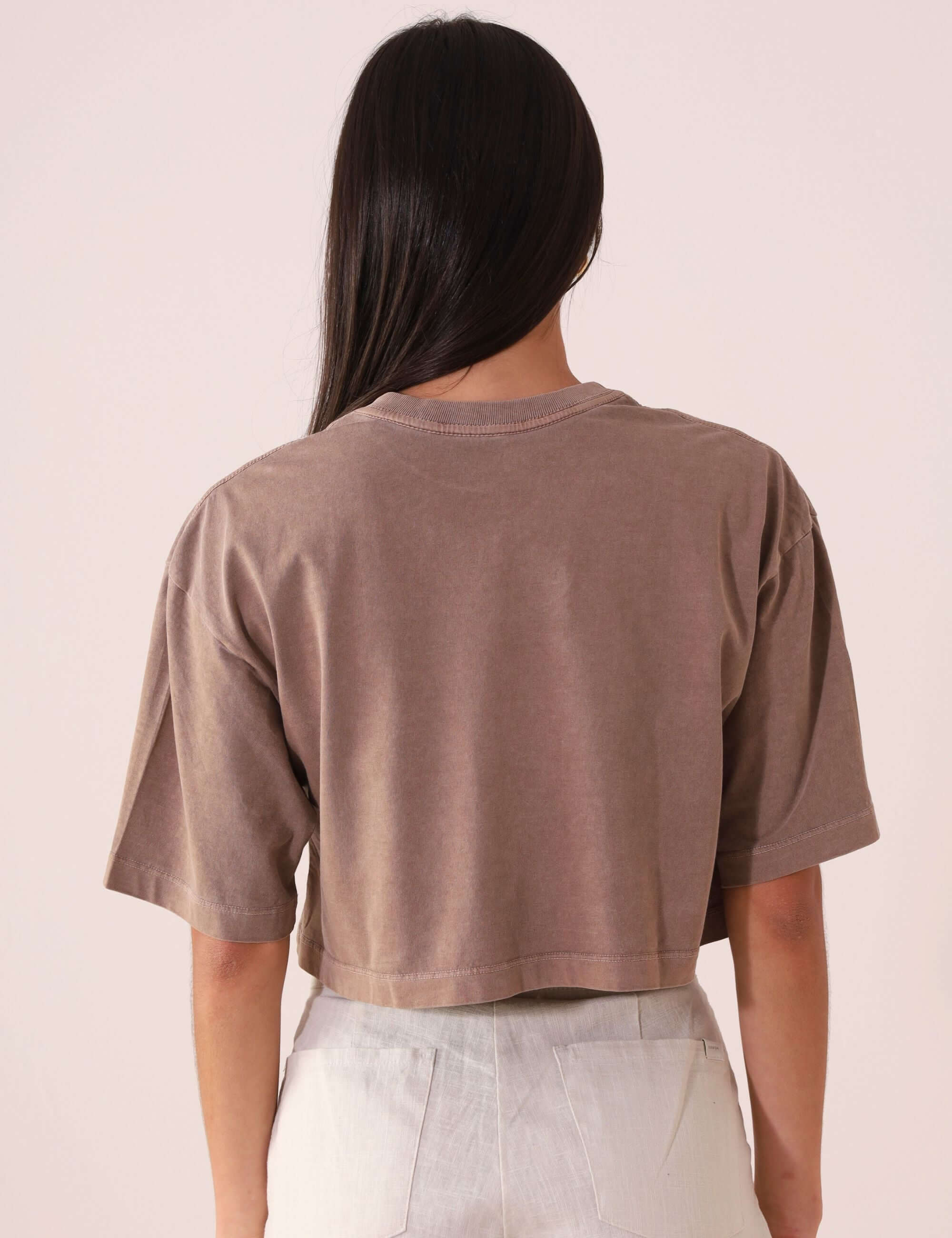 Camiseta Greenish CROPPED STONE RELAXING VIEW - MARRON, estilo oversized, algodão, visual vintage, toque macio, marca Greenish.