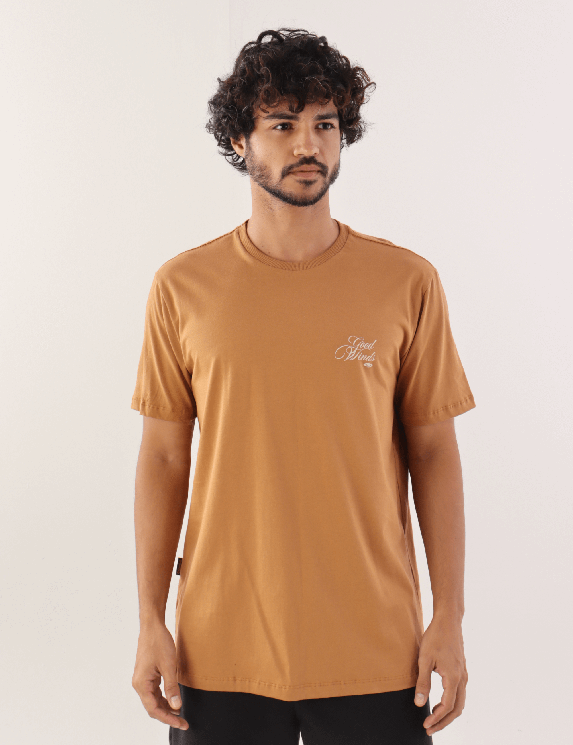 Camiseta marrom "Kites & Good Winds" da marca Greenish, em modelo masculino, perfeita para dias casuais e com estilo moderno.